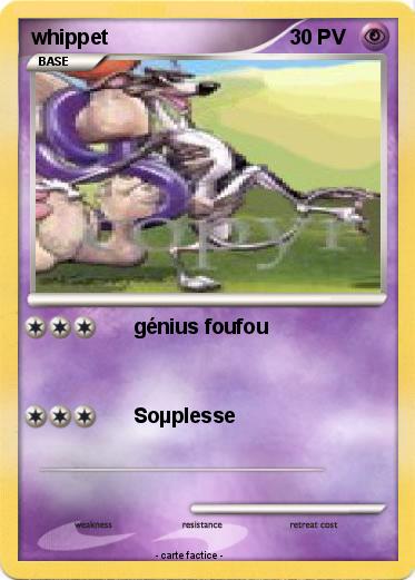 Pokemon whippet