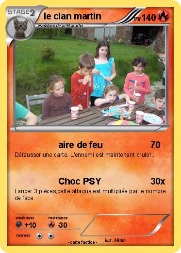 Pokemon le clan martin