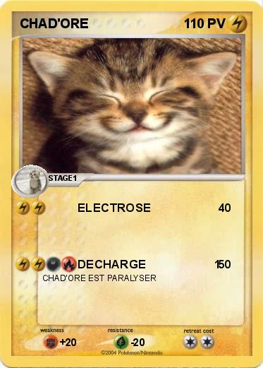 Pokemon CHAD'ORE
