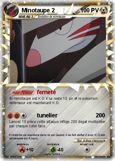 Pokemon Minotaupe 2