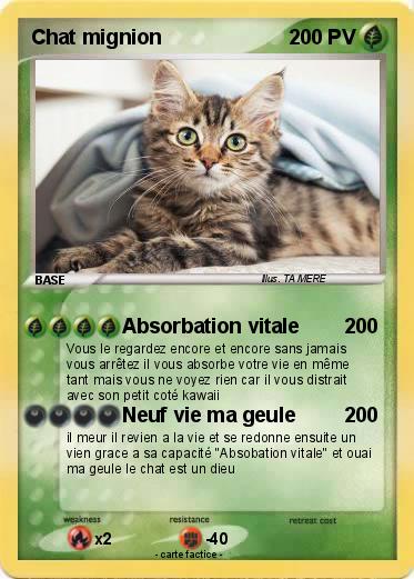 Pokemon Chat mignion