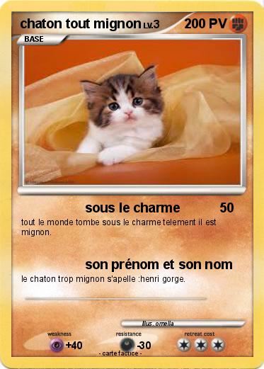 Pokemon chaton tout mignon
