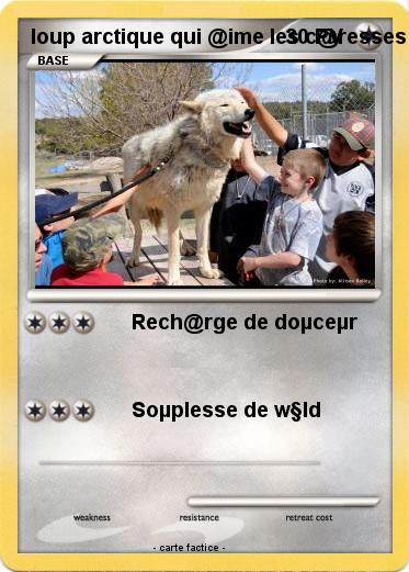 Pokemon loup arctique qui @ime les c@resses