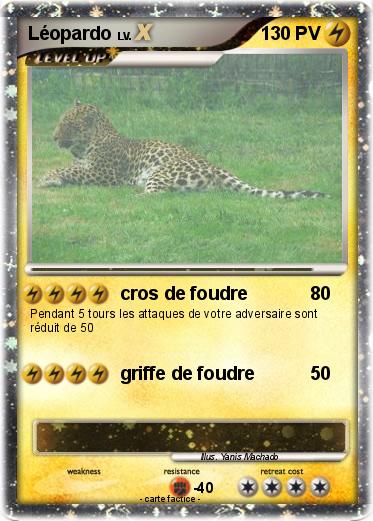 Pokemon Léopardo