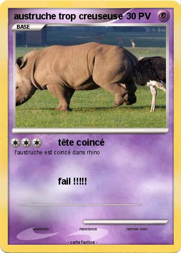 Pokemon austruche trop creuseuse