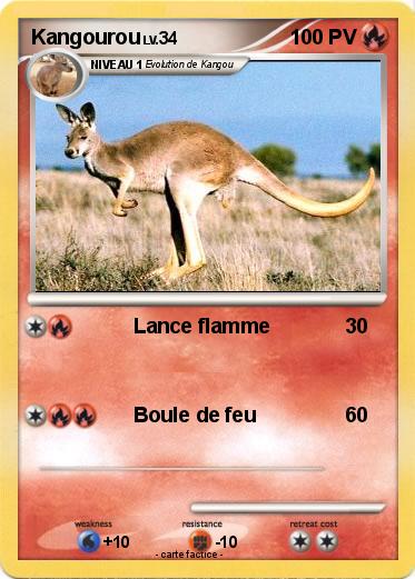 Pokemon Kangourou