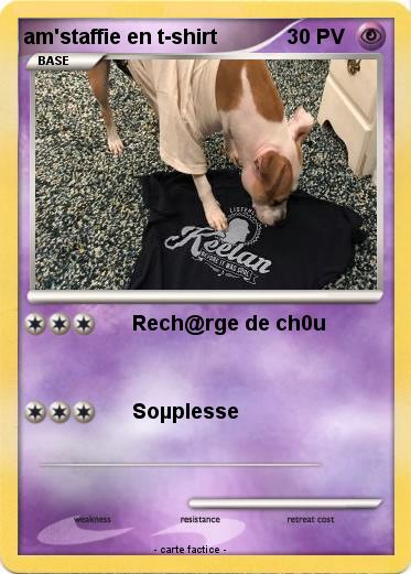 Pokemon am'staffie en t-shirt