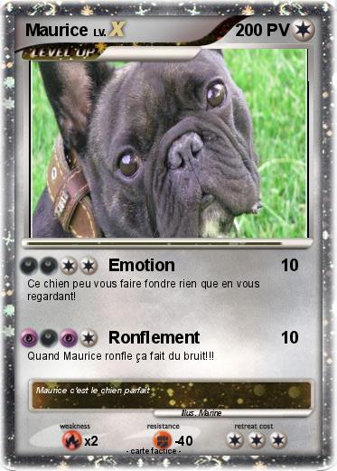 Pokemon Maurice