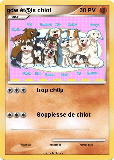 Pokemon gdw ét@is chiot