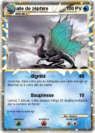 Pokemon aile de zéphire