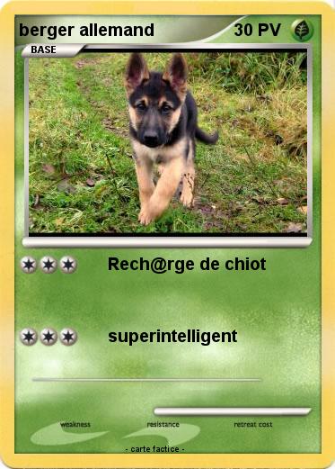 Pokemon berger allemand