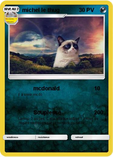 Pokemon michel le thug