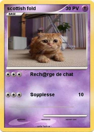 Pokemon scottish fold