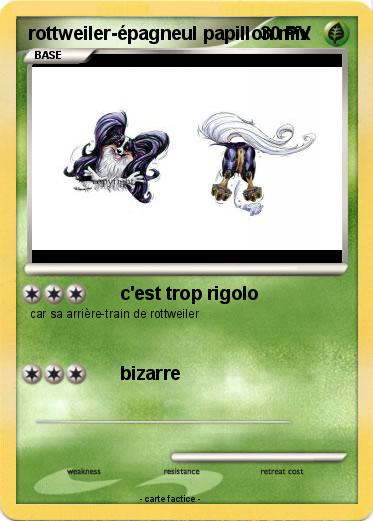 Pokemon rottweiler-épagneul papillon mix