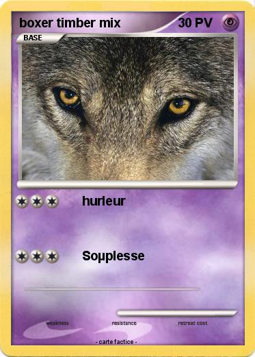 Pokemon boxer timber mix