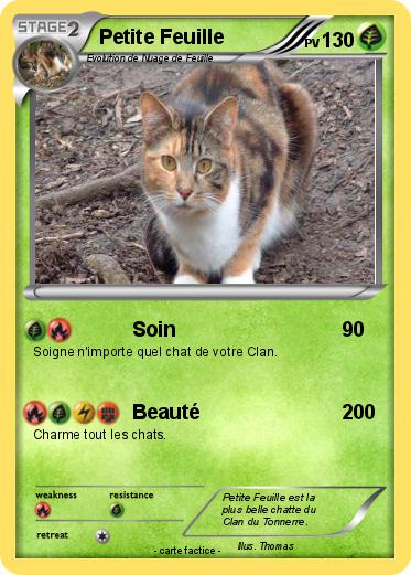 Pokemon Petite Feuille
