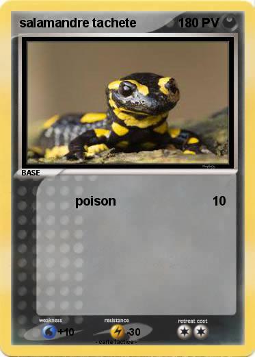 Pokemon salamandre tachete