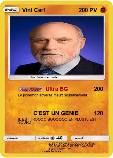 Pokemon Vint Cerf