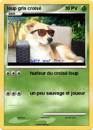 Pokemon loup gris croisé