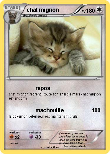 Pokemon chat mignon