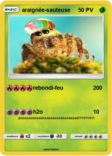 Pokemon araignée-sauteuse