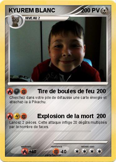 Pokemon KYUREM BLANC