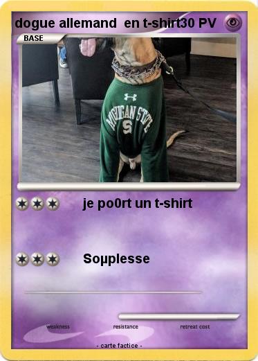 Pokemon dogue allemand  en t-shirt