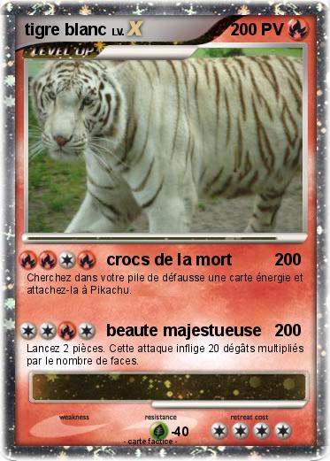 Pokemon tigre blanc