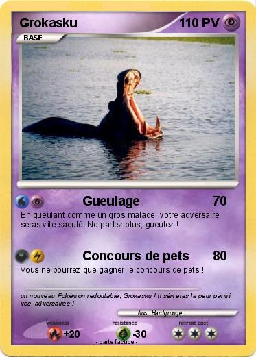 Pokemon Grokasku