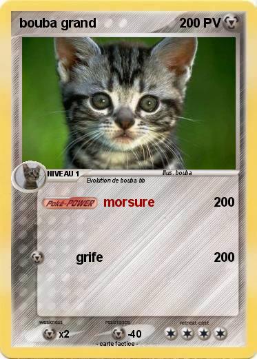 Pokemon bouba grand