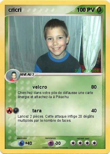 Pokemon cricri