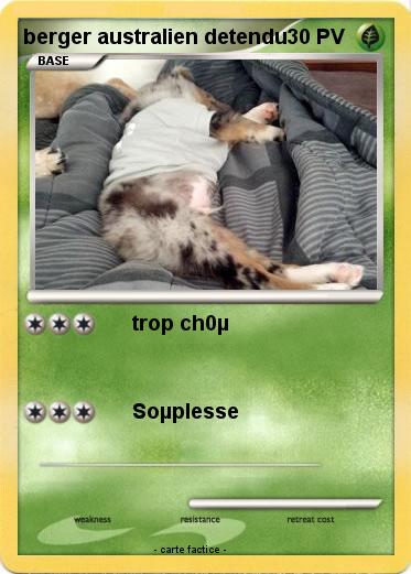 Pokemon berger australien detendu