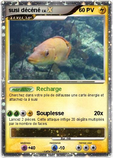 Pokemon susi décéné
