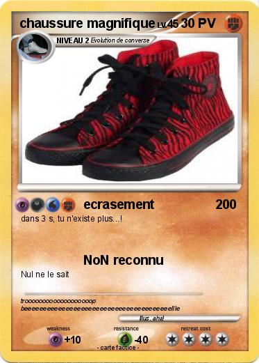 Pokemon chaussure magnifique