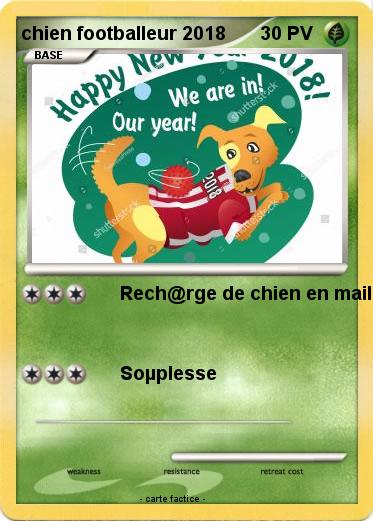 Pokemon chien footballeur 2018