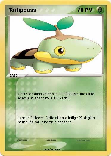 Pokemon Tortipouss