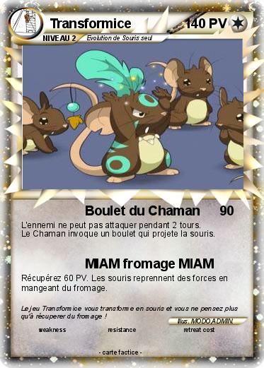 Pokemon Transformice