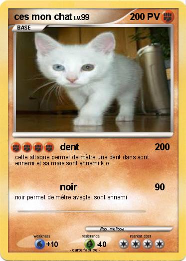 Pokemon ces mon chat