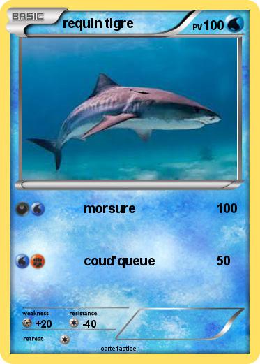 Pokemon requin tigre