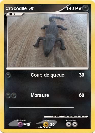 Pokemon Crocodile