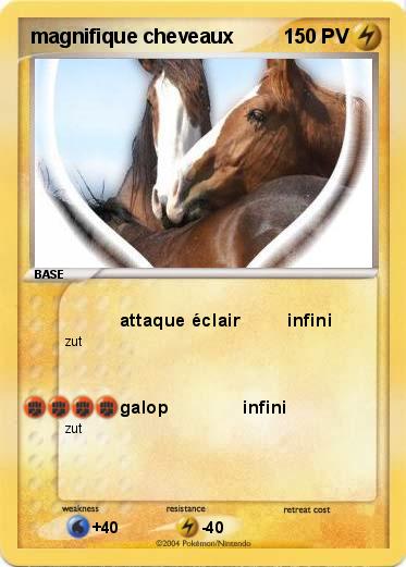 Pokemon magnifique cheveaux