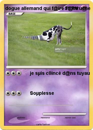 Pokemon dogue allemand qui f@ire l'@utruche