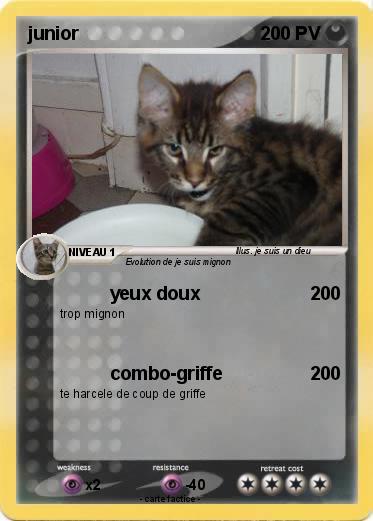 Pokemon junior