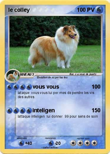 Pokemon le colley