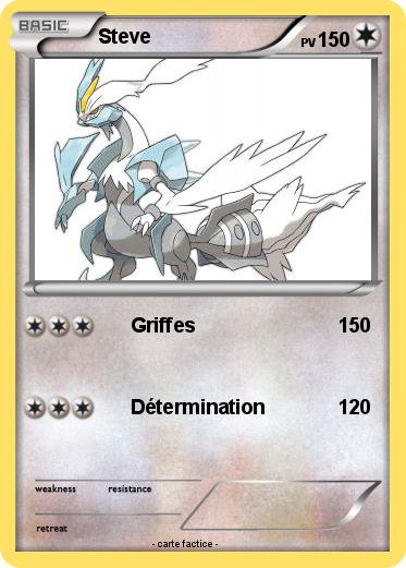Pokemon Steve