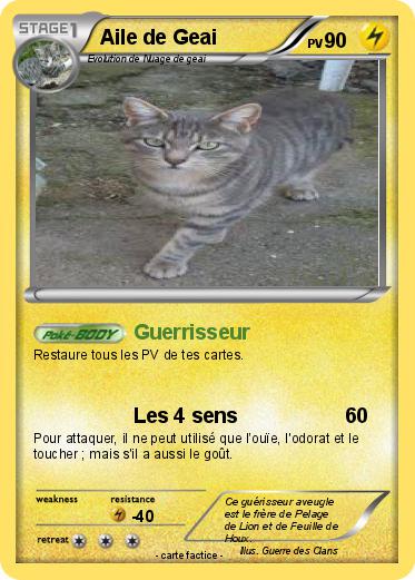 Pokemon Aile de Geai