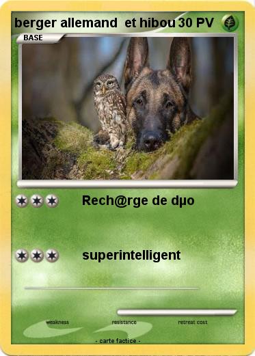 Pokemon berger allemand  et hibou