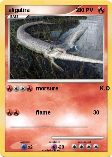 Pokemon aligatira                              2