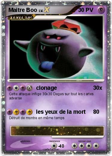 Pokemon Maitre Boo