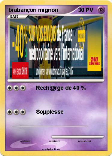Pokemon brabançon mignon